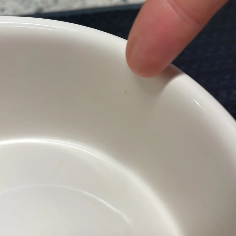Rae Dunn Dog Bowl Chow Down Puppy Food Dish Pets